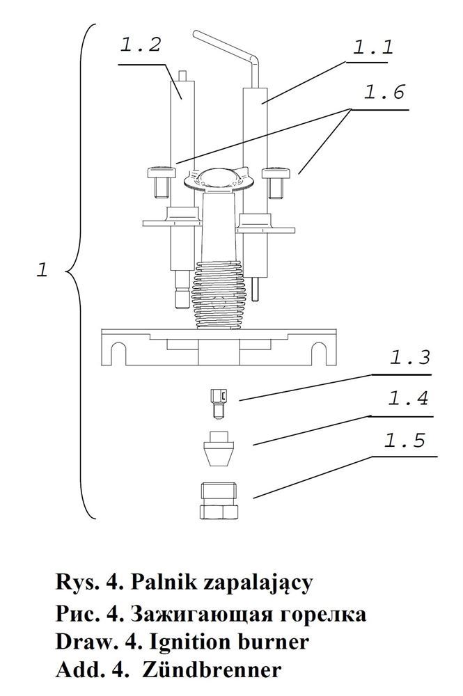 picture in details map section